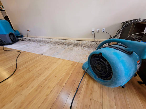 Professional Sewage Cleanup technician working in Commerce, TX